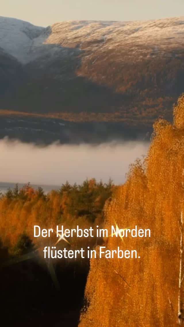 Instagram post from nord_lyst. This post is in position 4.